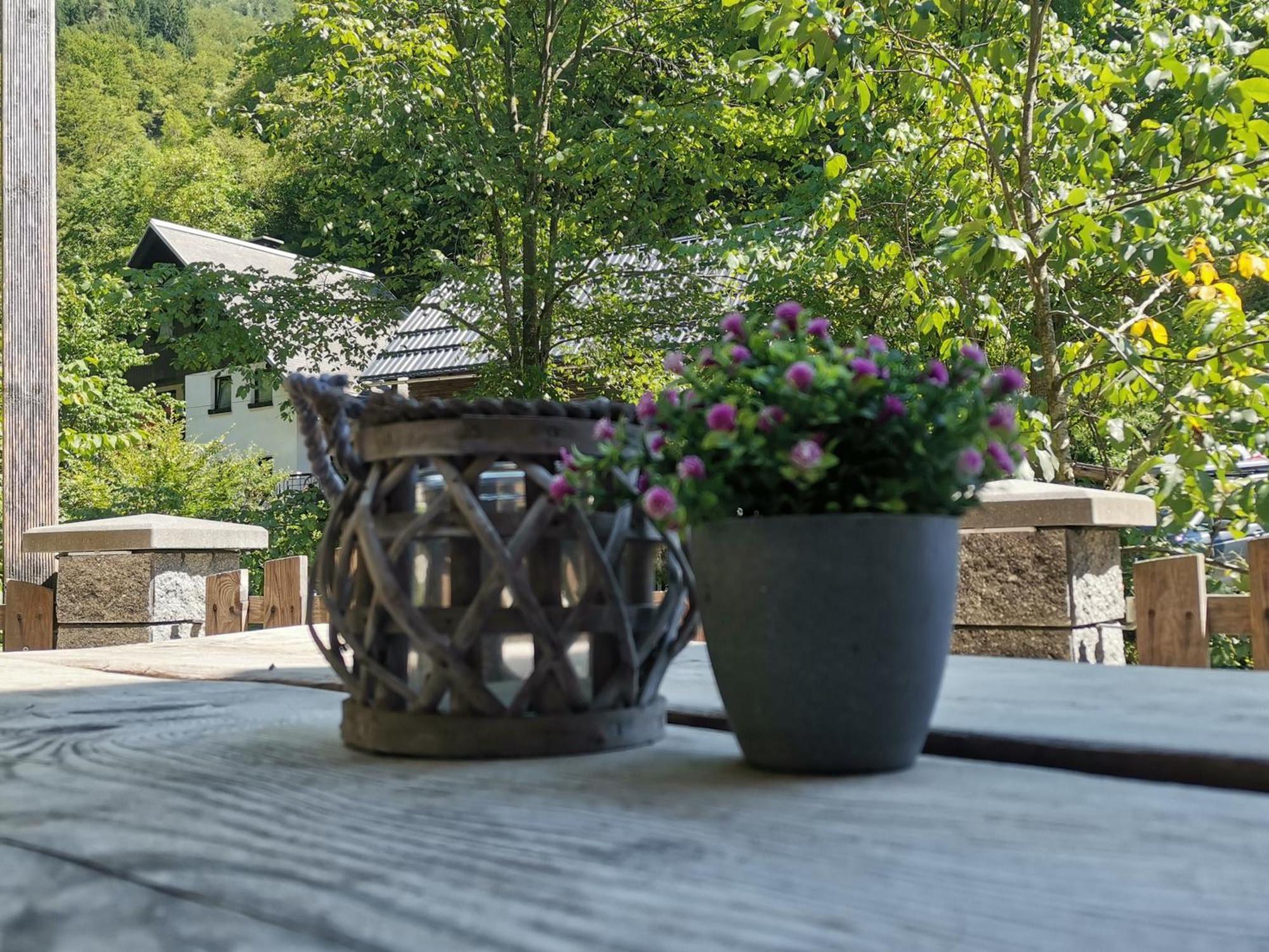 Apartma Bohinj Buitenkant foto
